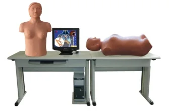 Chest and Abdominal Examination Models
