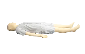 Y học cổ truyền Trung Quốc mô phỏng mô hình huấn luyện cho các huyệt thường dùng (đầy đủ chức năng)