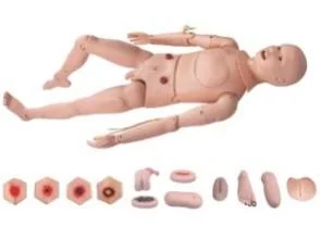 Mô hình người huấn luyện: điều dưỡng (đầy đủ chức năng)