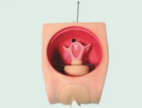 Mô hình: kế hoạch hóa gia đình (nâng cao)