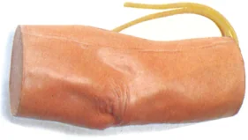 Mô hình: tĩnh mạch tiêm khuỷu tay (nâng cao)