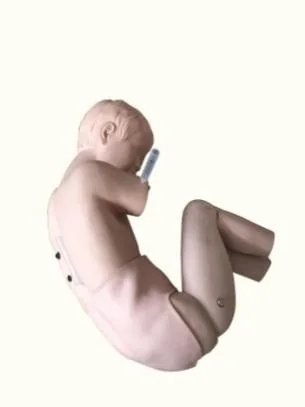 Mô hình huấn luyện: chọc dò nhi khoa thắt lưng