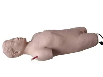 Mô hình bệnh nhân chuẩn hóa: chọc tĩnh mạch mô phỏng (đầy đủ chức năng)