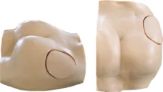 Mô hình: tiêm mông