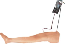 Mô hình huấn luyện: chọc dò người lớn xương chày