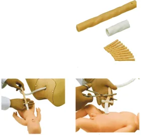 Mô hình: trẻ sơ sinh thắt