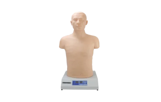 Mô hình mô phỏng: tim phổi sờ khám nghe vi tính hóa (bộ độc lập)