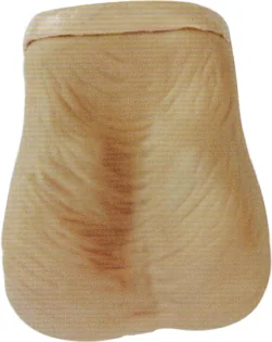 Mô hình thực hành