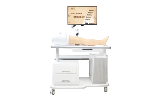 Kinh lạc và huyệt hiển thị đa phương tiện hệ thống giảng dạy - chân