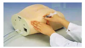 Hệ thống: mông tiêm bắp mô hình