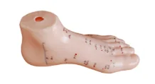 Bàn chân châm cứu mô hình 13cm
