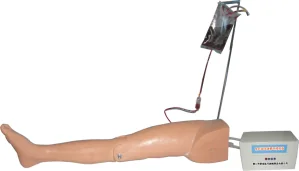 Mô hình huấn luyện: nhi khoa tĩnh mạch và động mạch đùi chọc dò điện
