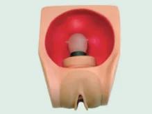 Mô hình: nữ (nâng cao)