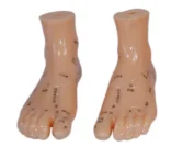 Xoa bóp mô hình 12cm