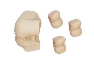 Mô hình: thăm trực tràng bằng ngón tay (nâng cao)