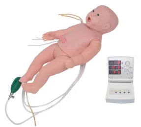 Mô hình huấn luyện: trẻ sơ sinh nâng cao điều dưỡng hồi sinh tim phổi (đầy đủ chức năng)