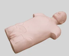 Mô hình huấn luyện chọc tủy xương