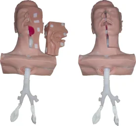 Mô hình: điều dưỡng hút
