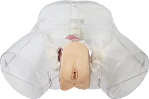 Mô hình: đặt ống thông nữ