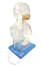 Mô hình: nhi khoa đa chức năng rửa dạ dày qua mũi