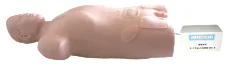 Mô hình mô phỏng: chọc dò động mạch đùi (tự động; có nhịp đập)