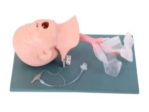 Mô hình: nhi khoa đặt nội khí quản