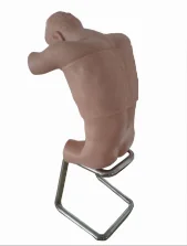 Mô hình bệnh nhân chuẩn hóa điện huấn luyện chọc dò ngực ở tư thế ngồi