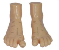 Xoa bóp mô hình 17cm