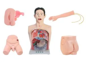 Mô hình thực hành: điều dưỡng (mới)