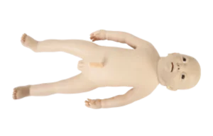 Mô hình: điều dưỡng trẻ sơ sinh (nâng cao)