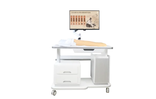 Kinh lạc và huyệt hiển thị đa phương tiện hệ thống giảng dạy - cánh tay