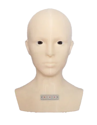 Mô hình: mắt võng mạc (nâng cao)