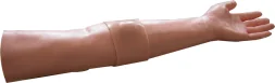 Mô hình: rạch