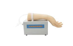 Mô hình: chọc động mạch