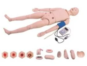 Mô hình: điều dưỡng (đầy đủ chức năng)