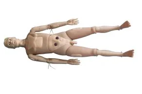 Mô hình: điều dưỡng