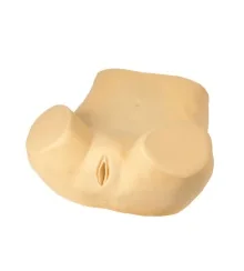 Mô hình: chọc dò