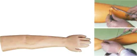 Mô hình huấn luyện: phẫu thuật khâu cánh tay (nâng cao)