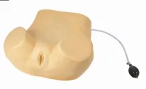 Mô hình huấn luyện: sờ khám