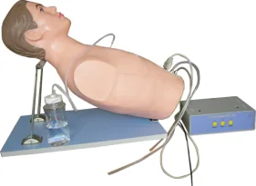 Mô hình điện huấn luyện chọc dò lồng ngực