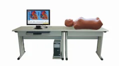 Hệ thống giảng dạy: nối mạng đa phương tiện bụng thăm khám (bộ giáo viên)