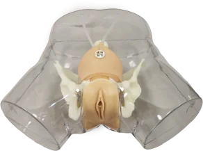 Mô hình (nâng cao)