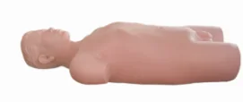 Mô hình huấn luyện (nửa thân)