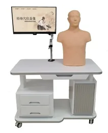 Kinh lạc và huyệt hiển thị đa phương tiện hệ thống giảng dạy - thân