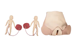 Mô hình: sinh đẻ (nâng cao)