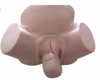 Mô hình huấn luyện: đỡ đẻ (nâng cao)