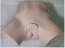 Mô hình: đặt ống thông nữ (nâng cao)