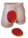 Mô hình: tiêm bắp mông (nâng cao)