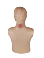 Mô hình: hậu bối chẩn đoán (nâng cao)