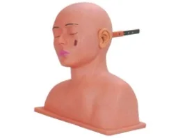 Mô hình: tai (nâng cao)